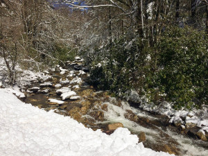 Great Smoky Mountains NP