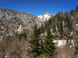 Great Smoky Mountains NP