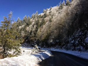 Great Smoky Mountains NP