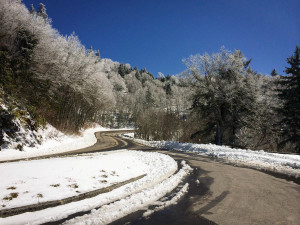 Great Smoky Mountains NP