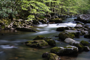 Little River - GSMNP, TN