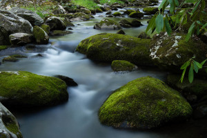 Little River - GSMNP, TN