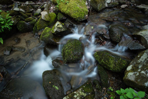 Little River - GSMNP, TN