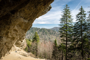 Alum Cave Bluff - GSMNP, TN