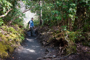 Lee on Alum Cave Trail - GSMNP, TN