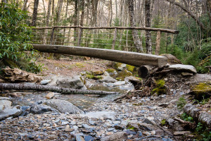 Alum Cave Trail - GSMNP, TN