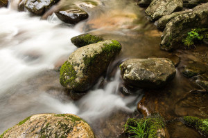 Little River - GSMNP, TN