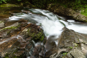 Laurel Creek - GSMNP, TN