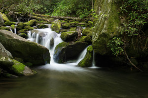 Roaring Fork Trail - GSMNP, TN