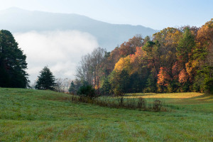 Cades Cove - Great Smoky Mountains NP