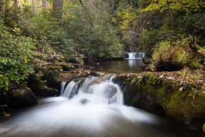 Parson Branch Road - Great Smoky Mountains NP