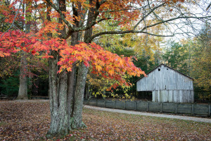 Cable Mill Barn - Great Smoky Mountains NP