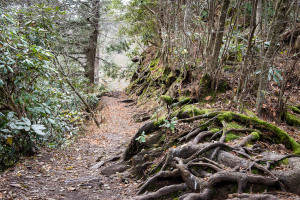 Chimney Tops Trail - Great Smoky Mountains NP, TN