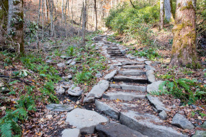 Chimney Tops Trail - Great Smoky Mountains NP, TN