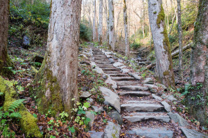 Chimney Tops Trail - Great Smoky Mountains NP, TN