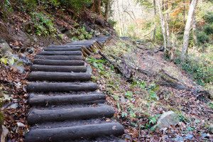 Chimney Tops Trail - Great Smoky Mountains NP, TN