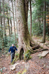 Lee - Chimney Tops Trail - Great Smoky Mountains NP, TN