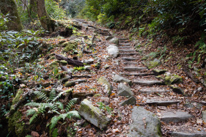 Chimney Tops Trail - Great Smoky Mountains NP, TN