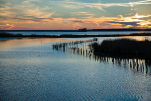 Blackwater National Wildlife Refuge, MD