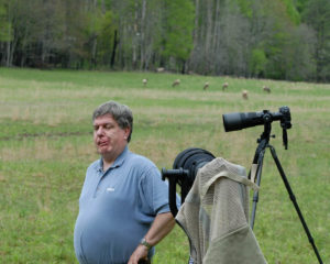 Cataloochee 2009